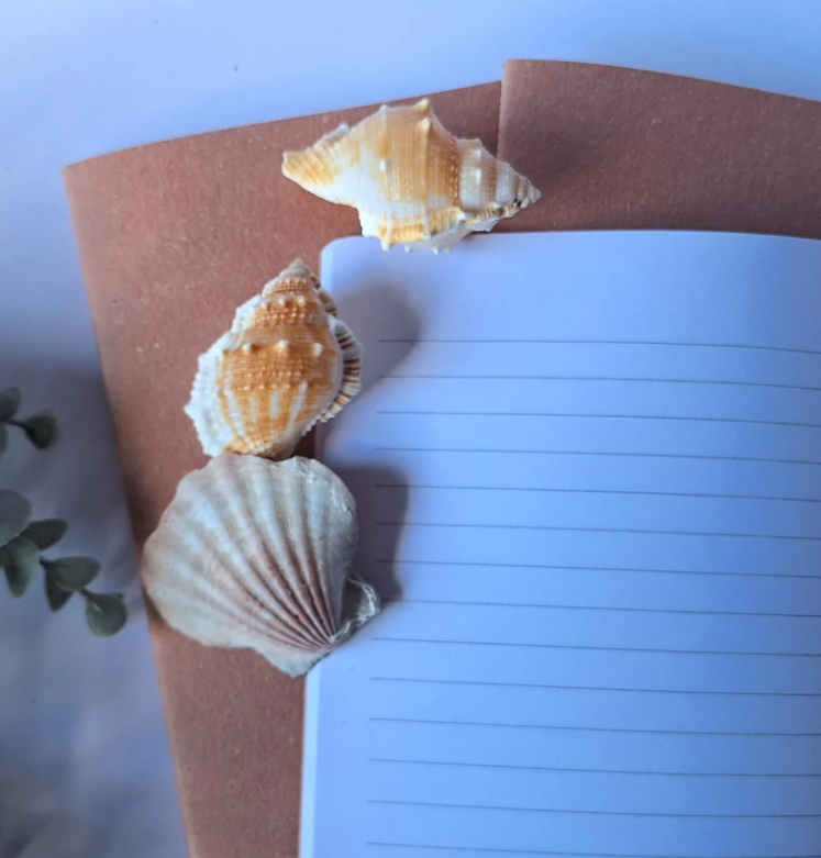 Blushed Pink Terracotta Notebook with recycled cover and stitched spine - A5 A6 A7