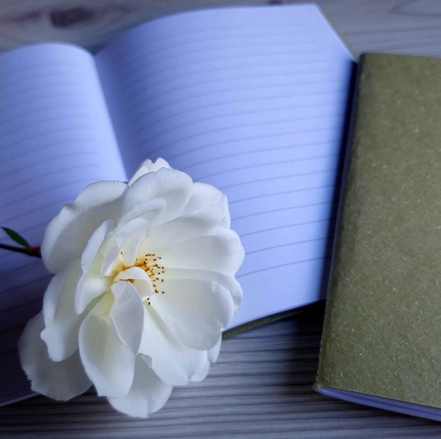 Rainforest Moss Green Notebook with Recycled Cover and Stitched Spine - A5 A6 A7