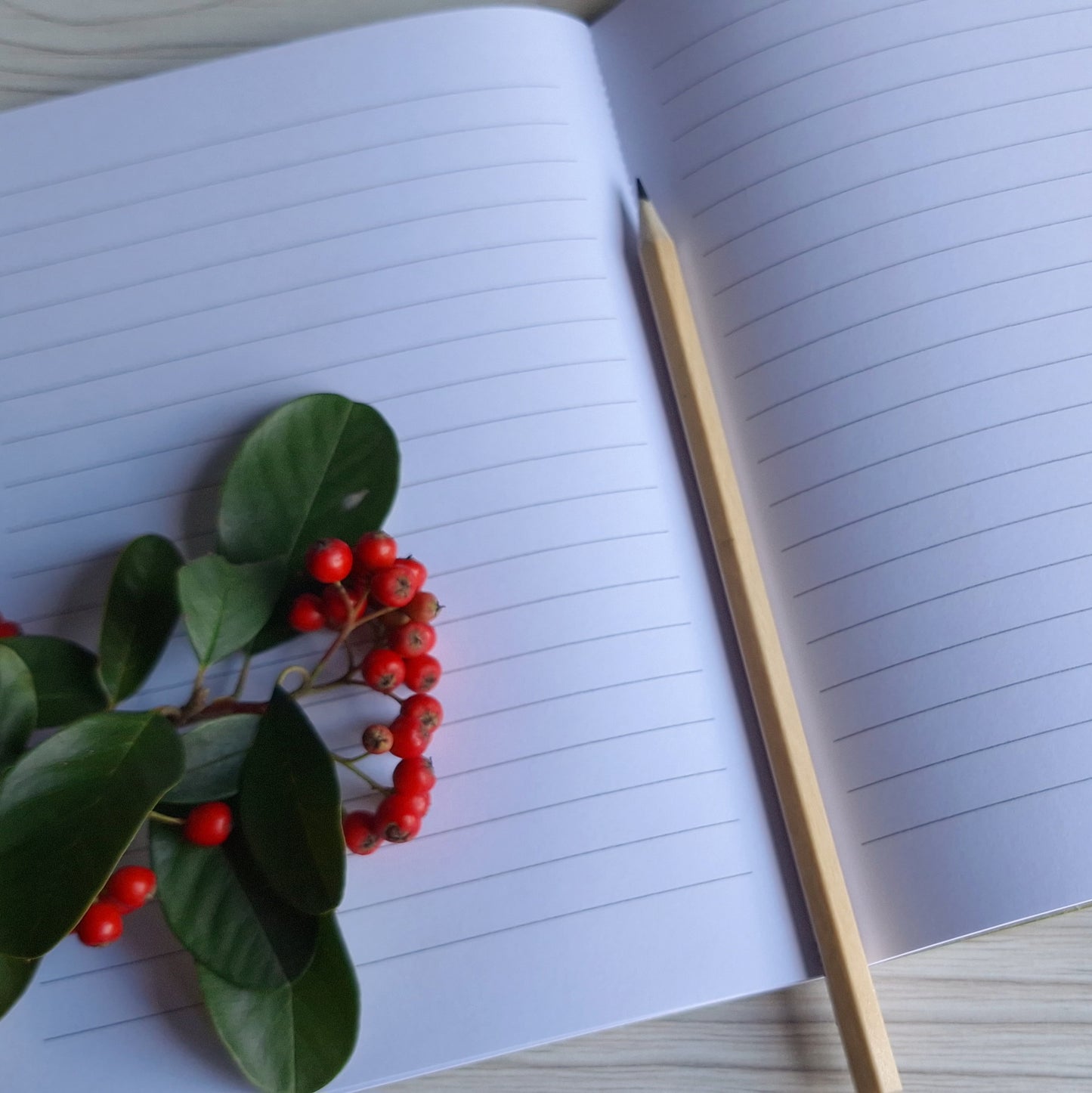 Brick Red Coloured Notebook with Recycled Cover and Stitched Spine - A5 A6 A7