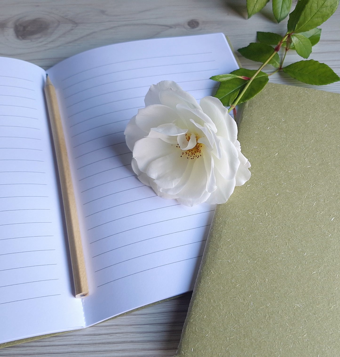 Rainforest Moss Green Notebook with Recycled Cover and Stitched Spine - A5 A6 A7